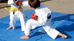 Corsi di Karate Gratuiti