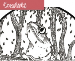 Cucù: corso di disegno con Daniele Di Luca
